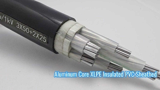 U1000 AR2V 0.6/1kV 3x25mm² Aluminum Core XLPE Insulated PVC Sheathed Low Voltage Industrial Cable